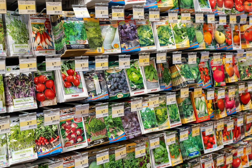 Vegetable Seed Buyers Guide