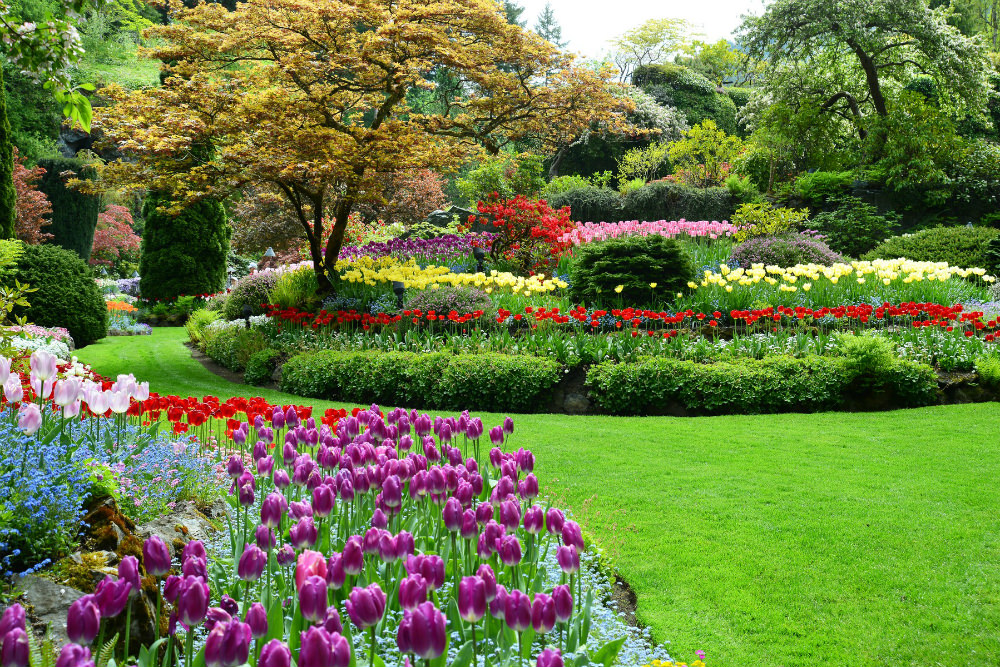 Springtime and Flowers: Gardens to Visit in North America