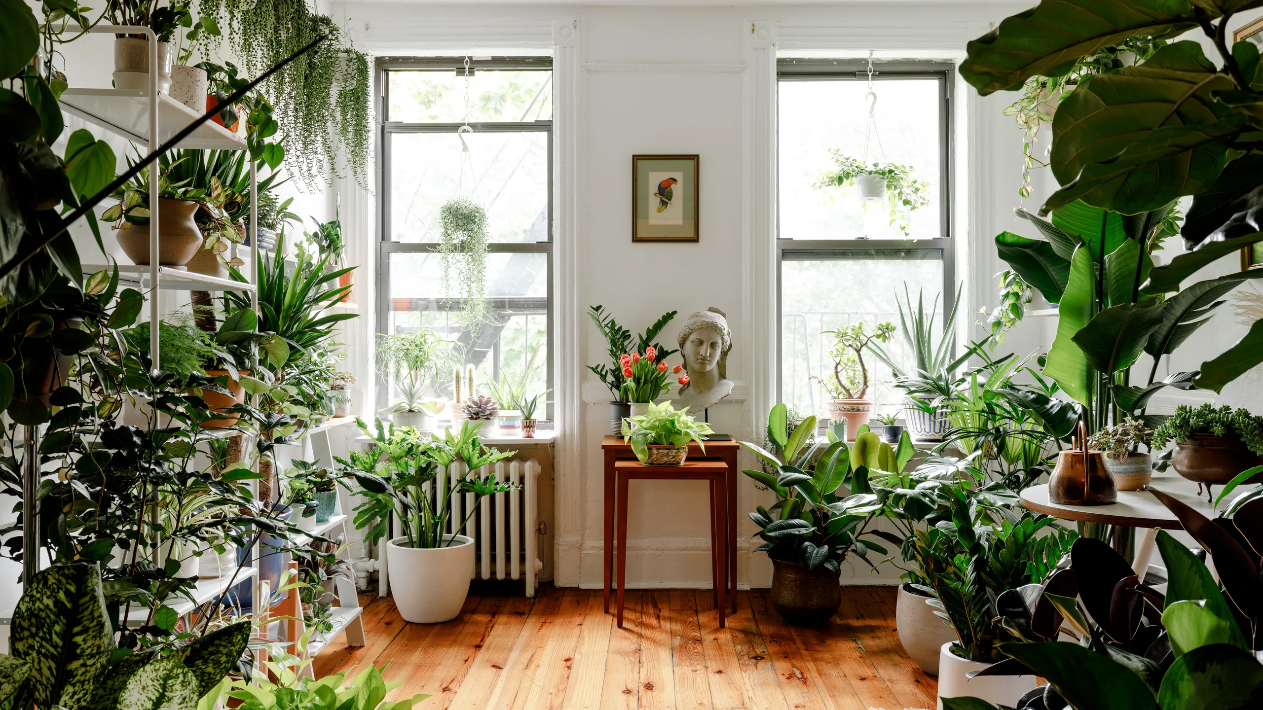 Indoor Plants Do All the Talking in These 5 Homes