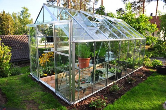 Everything You Need to Know about Greenhouse for Beginners