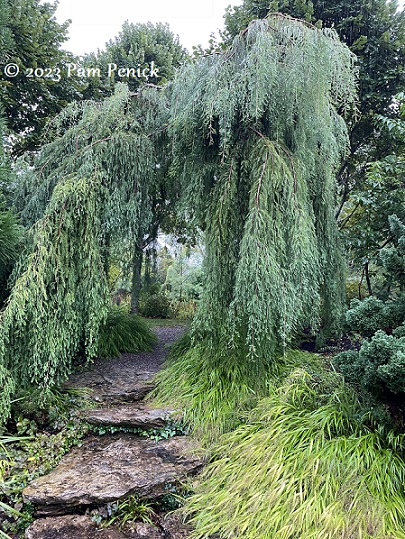 Gardens for adventure, art, and games at Paxson Hill Farm