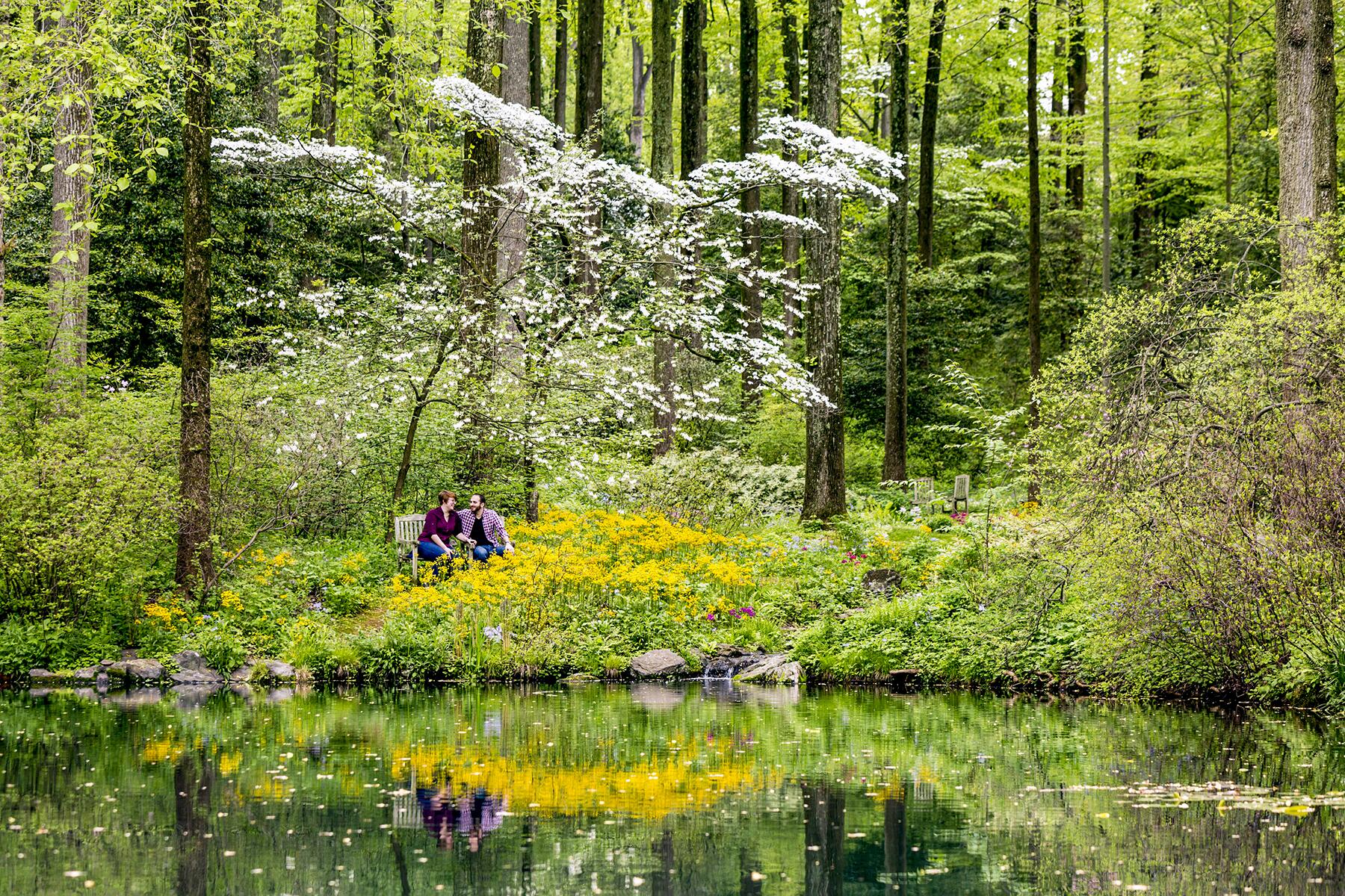 The Best Botanical Gardens Across the United States 2024