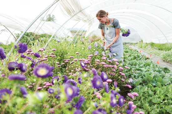 The Best Flowers for Beginners & First Time Flower Growers