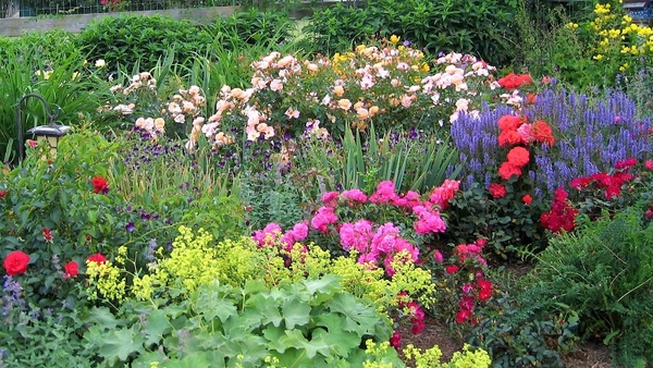 8 Best Flowers For A Cutting Garden