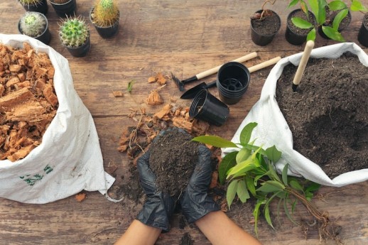 Transform Your Small Backyard with Easy Composting Hacks