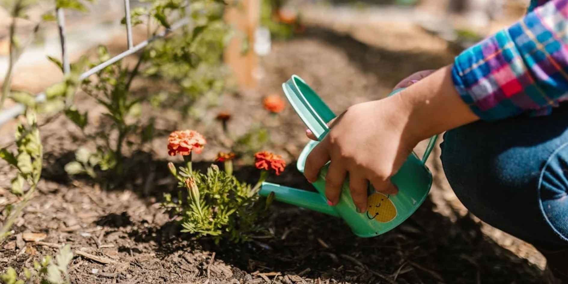 Which Mulch Is Best For Your Garden