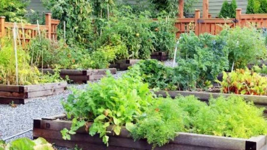 Match Crops to Your Climate and Season