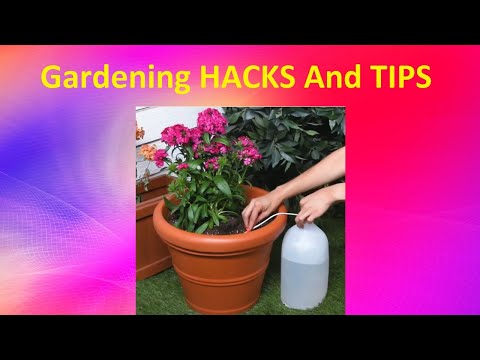Gardening HACKS And TIPS  8 FUN DIY Do It Yourself Projects
