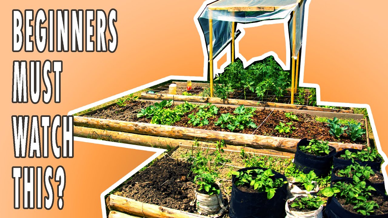 6 STARTING TIPS | Square Foot Gardening In Raised Beds (Do You Know Them ALL?)