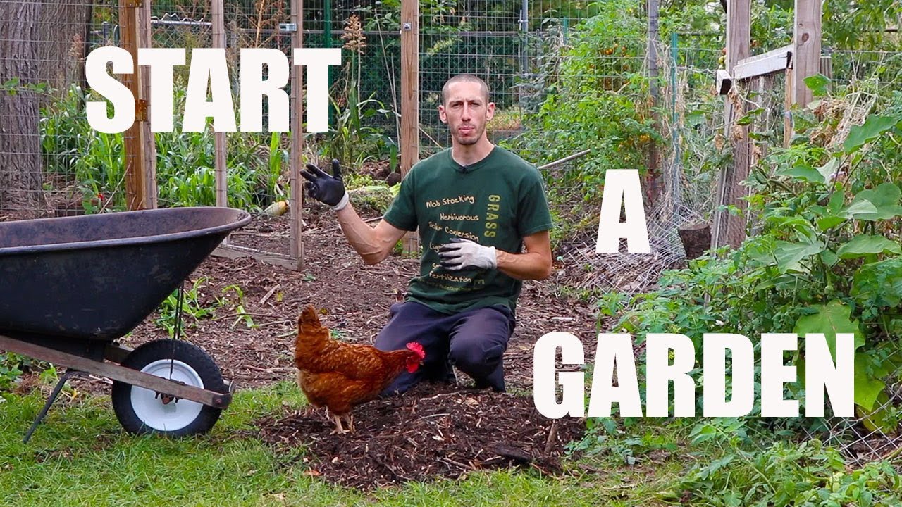 How to Start A Food Forest Garden! Organic Gardening