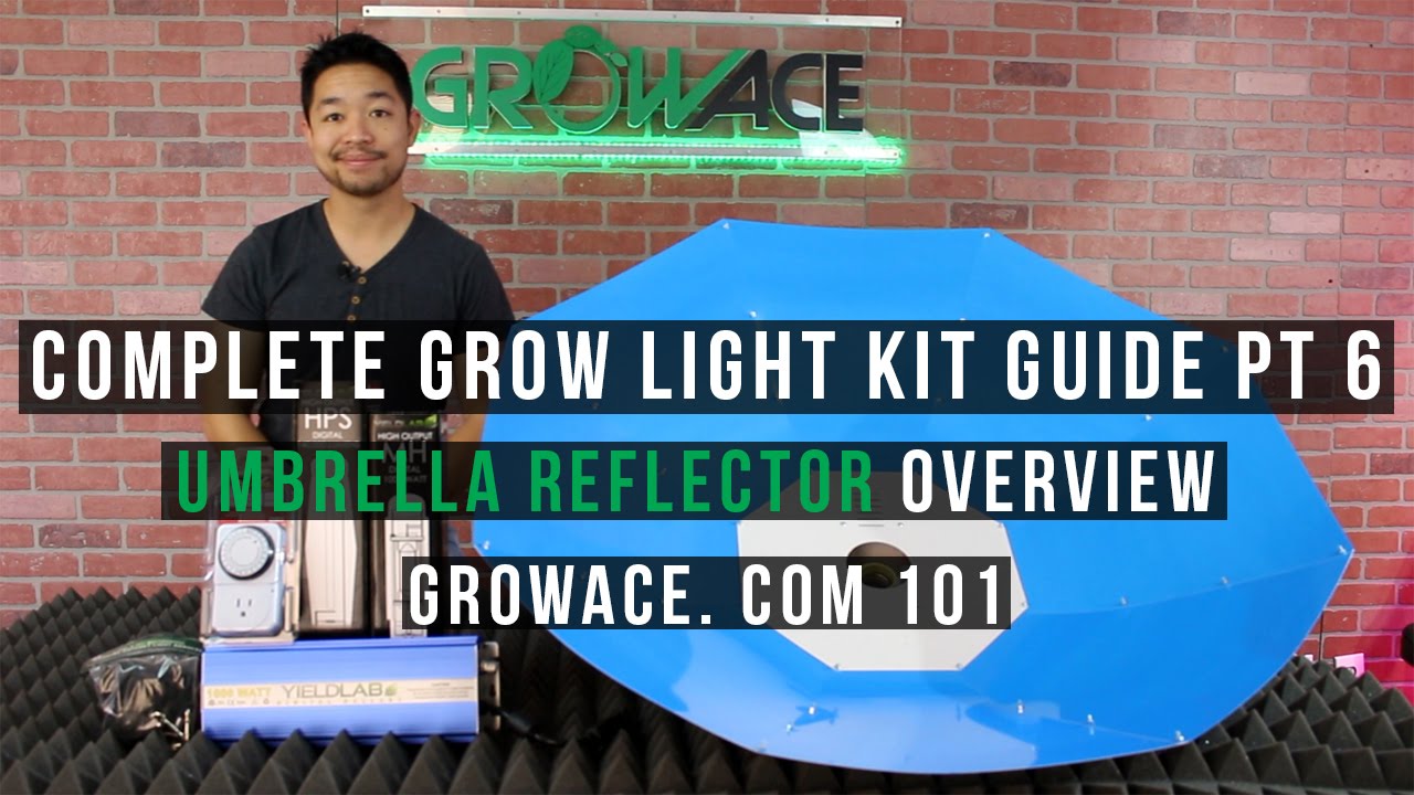 Complete Umbrella Light Kit Guide for Indoor Gardening