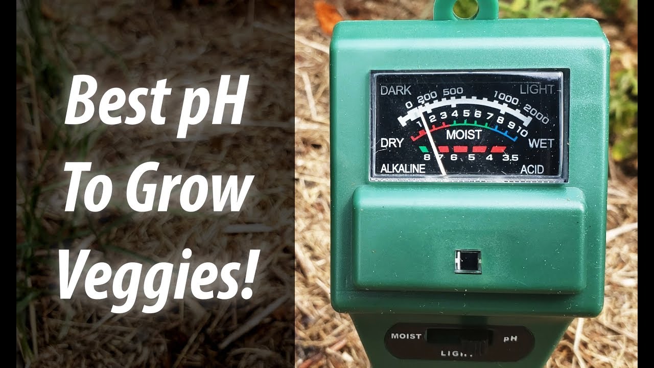 Garden Hacks: Best Soil pH For Your Vegetables (2019)