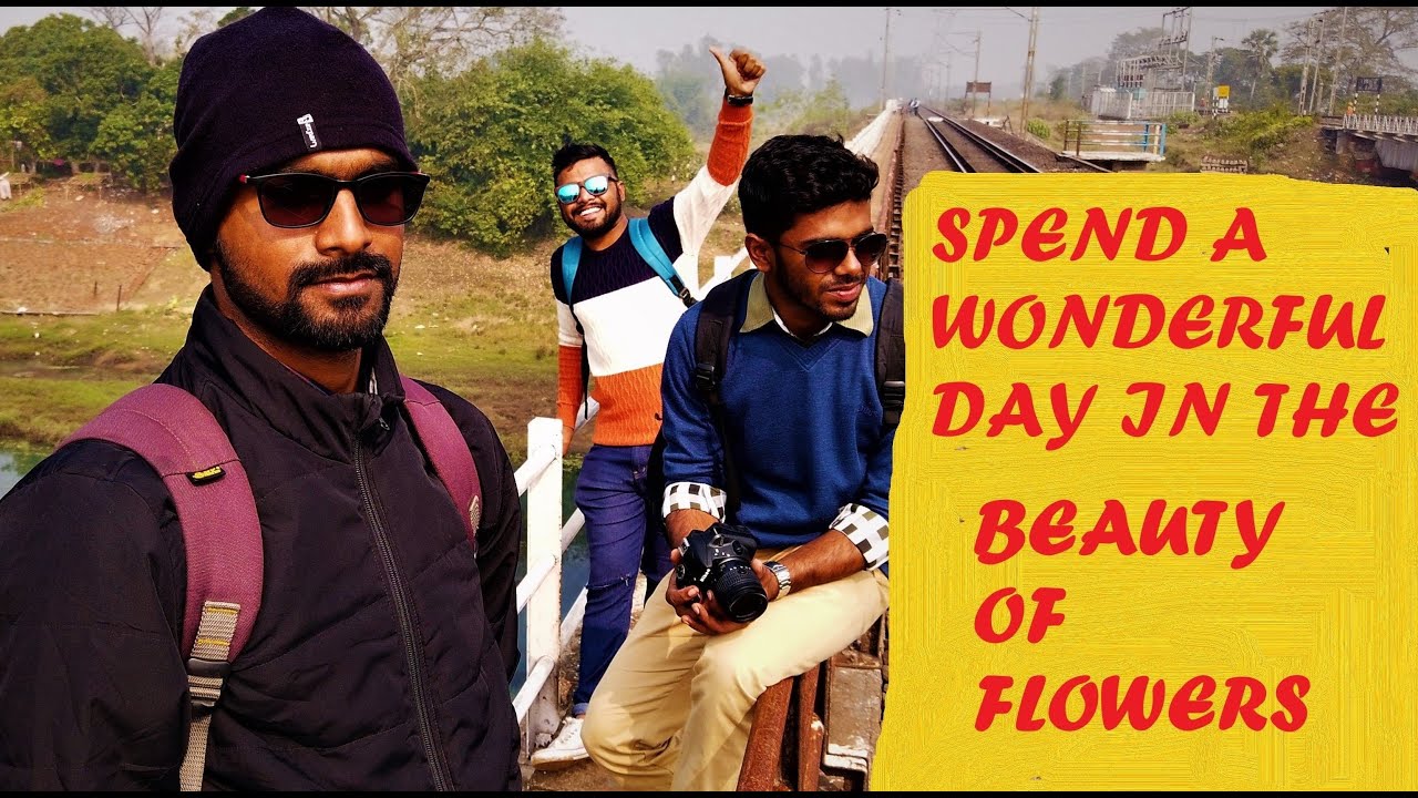 Khirai| Valley of flowers| One day tour from kolkata| Khirai flowers Garden|