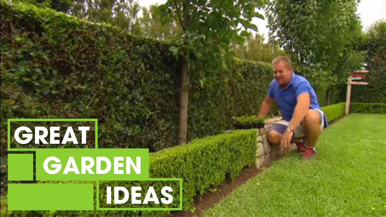 Tips & Tricks For Perfect Hedging | Gardening | Great Home Ideas
