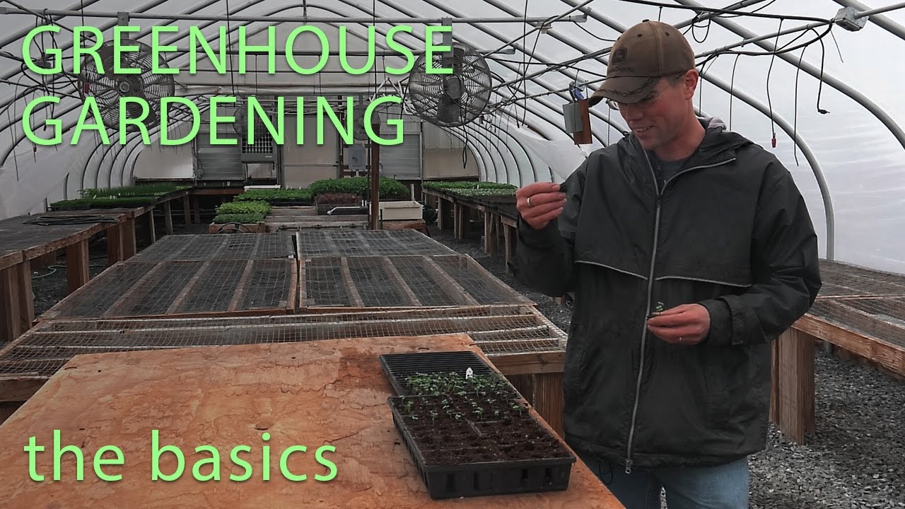 The Basics of Greenhouse Gardening