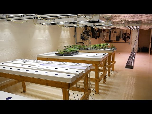 Part 1  Overview  Basement Hydroponic LED Garden Tour