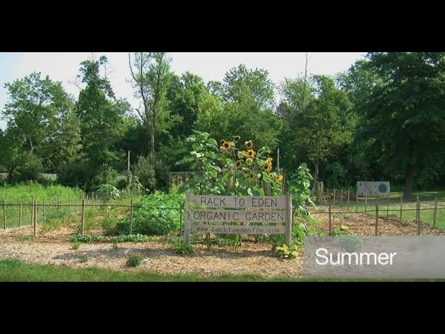 How to Start a Garden  Best Beginner Organic Gardening Tips