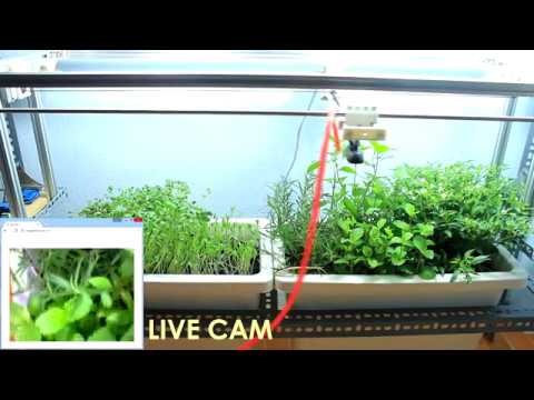 Indoor CNC Garden