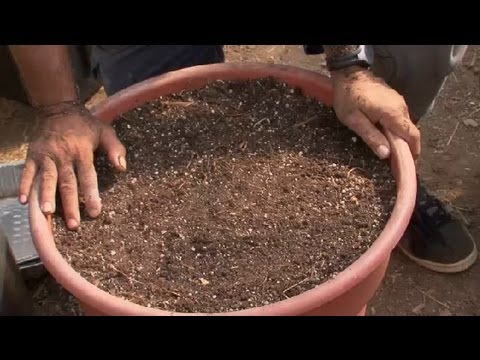 How to Make Soil for a Raised-Bed Vegetable Garden : Raised-Bed Gardens