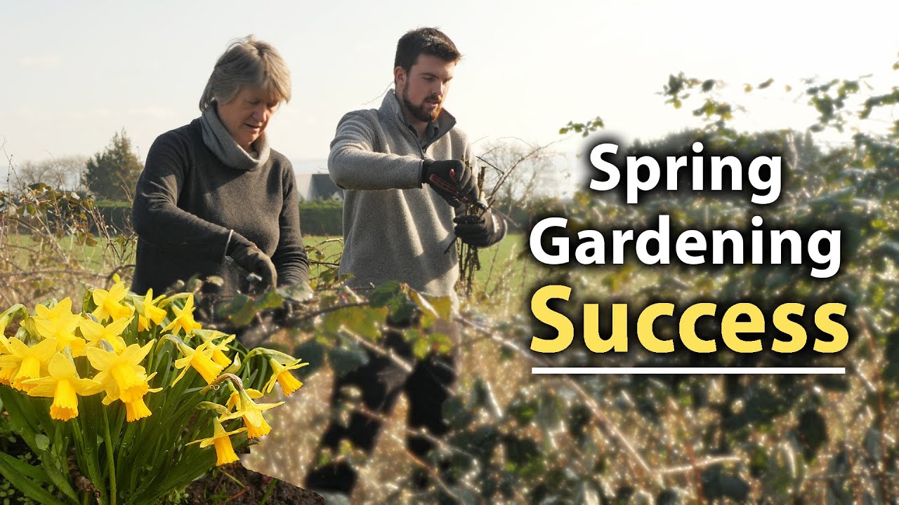 5 Essential Veg Garden Tips for a Succesful Start to Spring