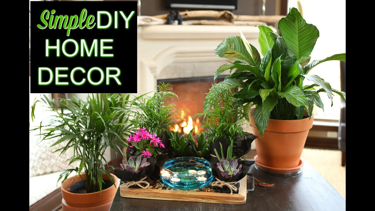 Simple DIY Home Decor | ‘The Plant Platter’ | Indoor Gardening