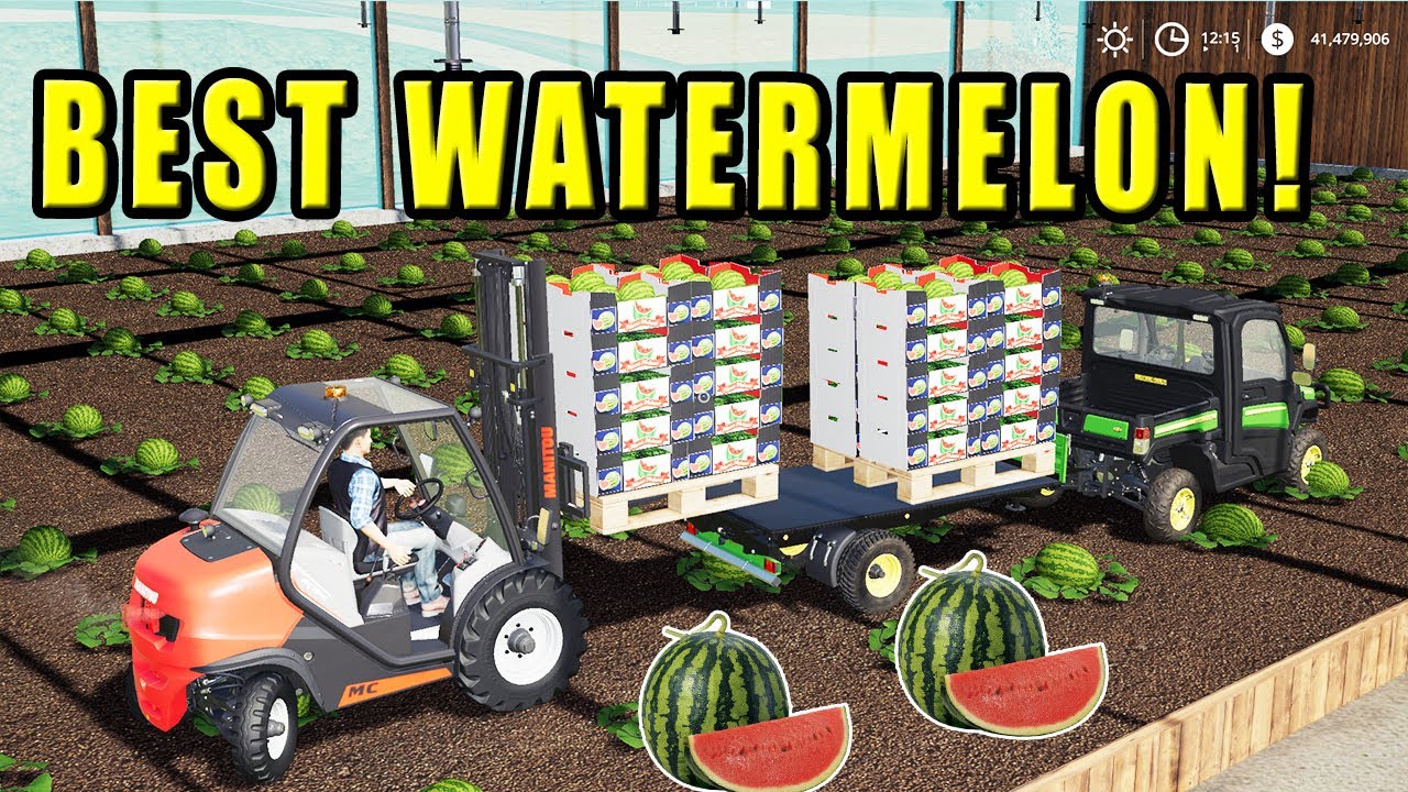 Farming Simulator 19  How to grow Watermelon?  Gardening Tips!