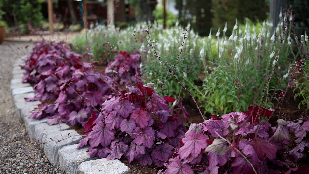 Planting a New Flowerbed // Garden Answer