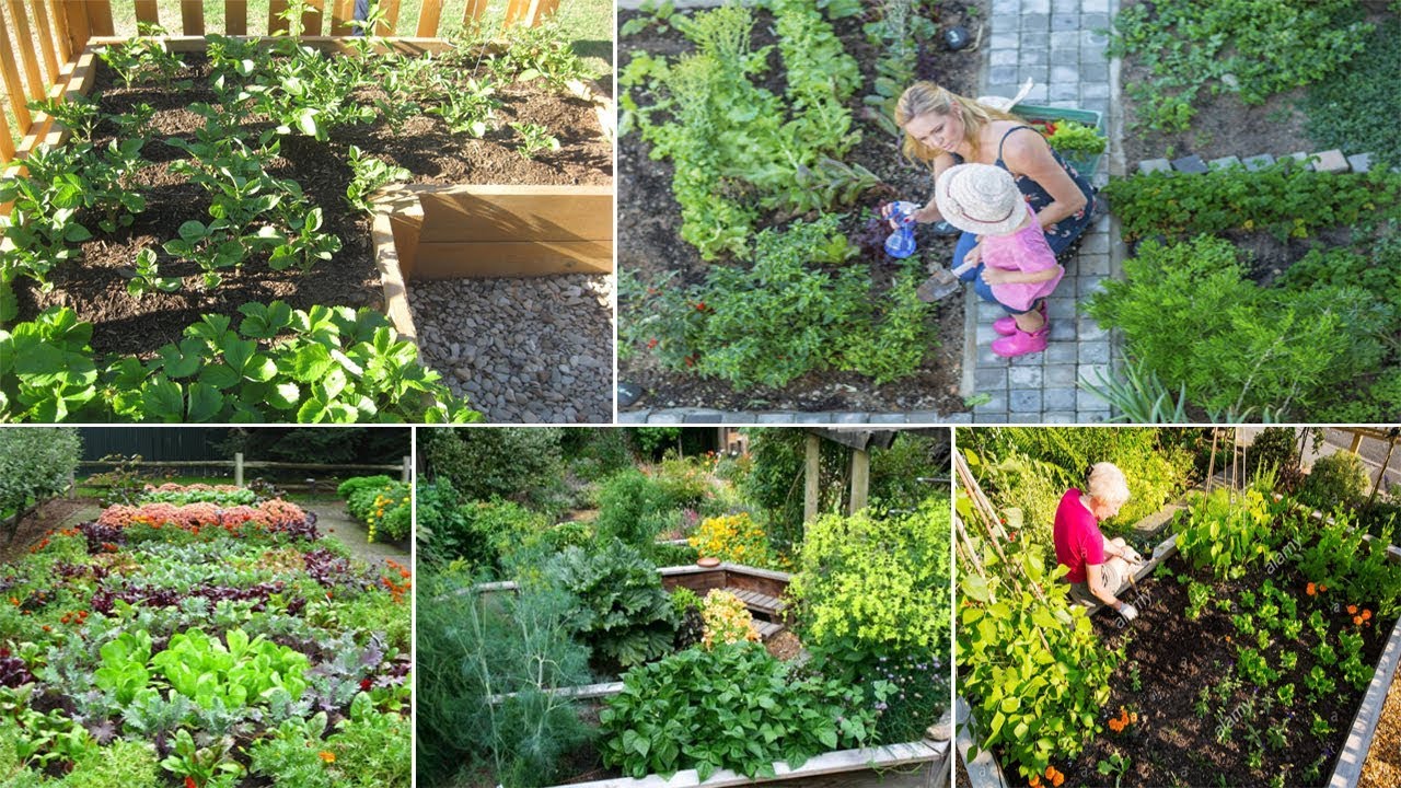 80 Affordable Backyard Vegetable Garden Design Ideas | John Ideas