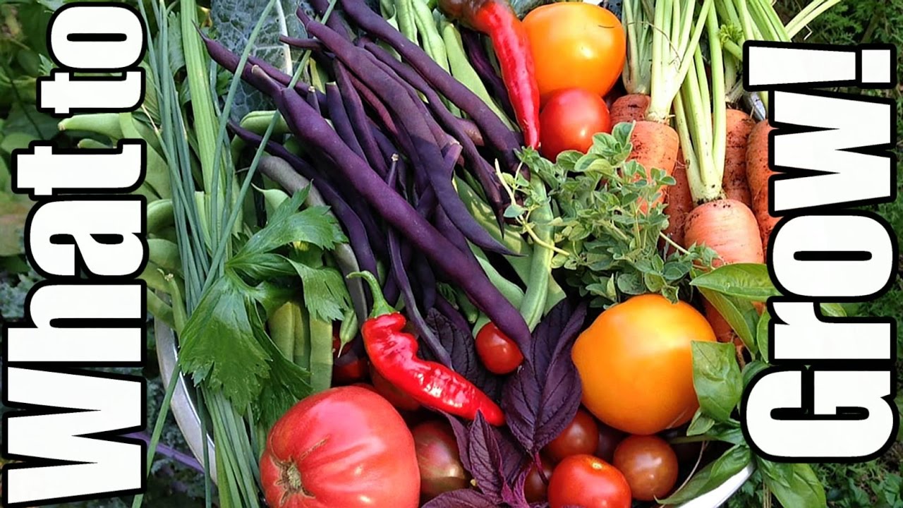 How to Choose What Crops to Grow (Beginning Gardening #3)