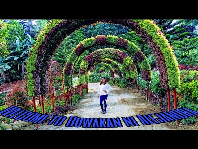 Buwakan ni Alejandra || Flower Garden