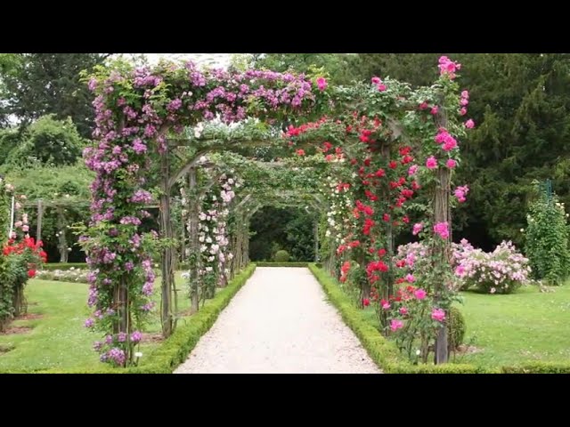 Garden Arches Ideas  Garden arches in the flower garden  flowering gate for home