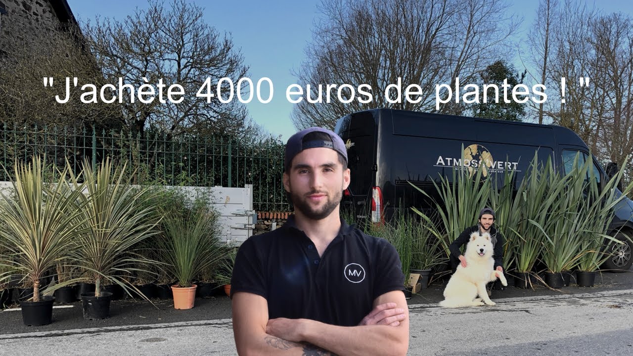 Jachte pour 4000 euros de plantes !!! Ep 7 Garden drive design #transformation #plante #love