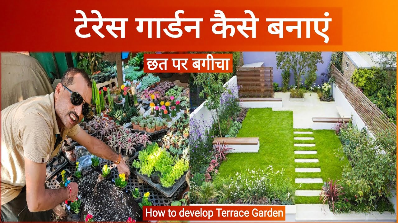 terrace Gardening // Making of terrace garden // Gardening Ideas in India // Kanchan Nursery