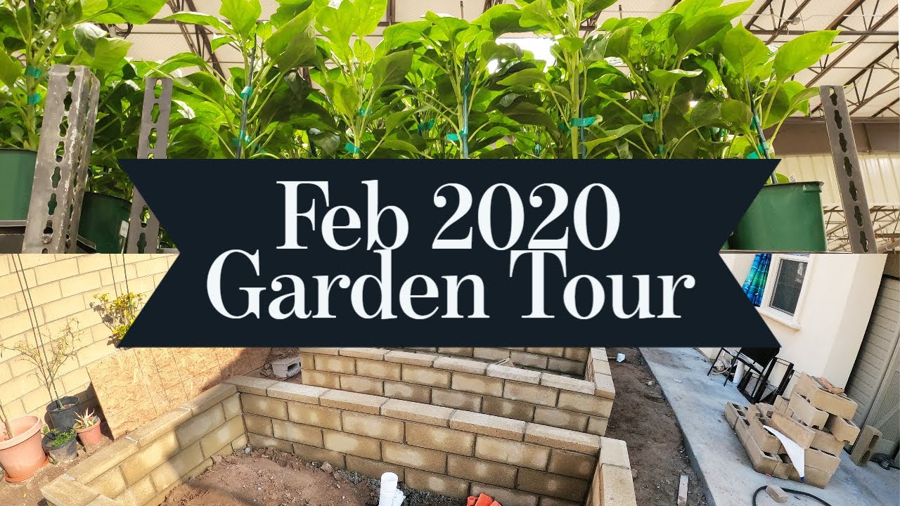 California Gardening Feb 2020 Garden Tour – Gardening Tips, Advice & more!