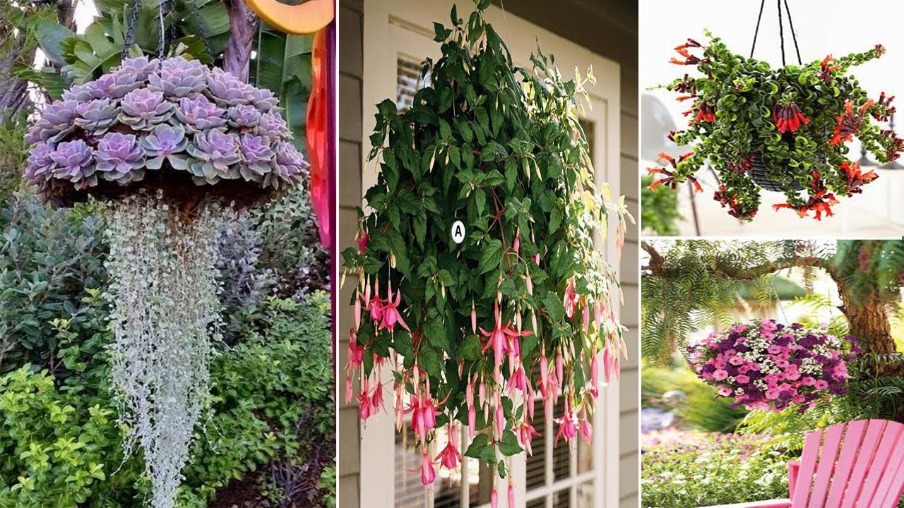 40 Beautiful Hanging Flower to Beautify Your Small Garden in Summer | garden ideas