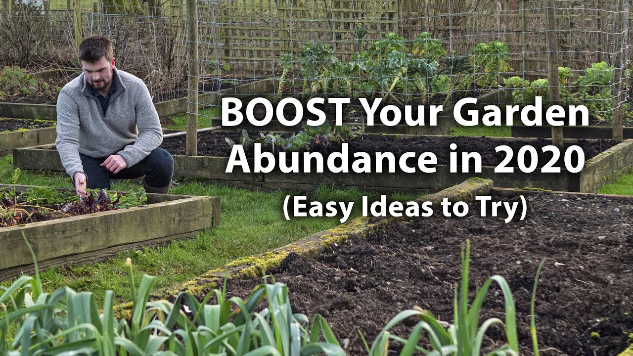 10 Vegetable Garden Hacks to GROW Your Productivity in 2020! (Lesser-known Tips)