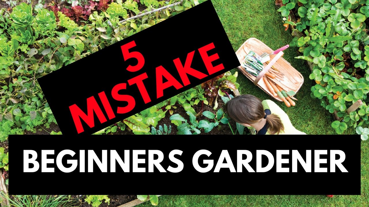 Gardening For Beginners | 5 Mistake Beginners Usually Do – Must Avoid These