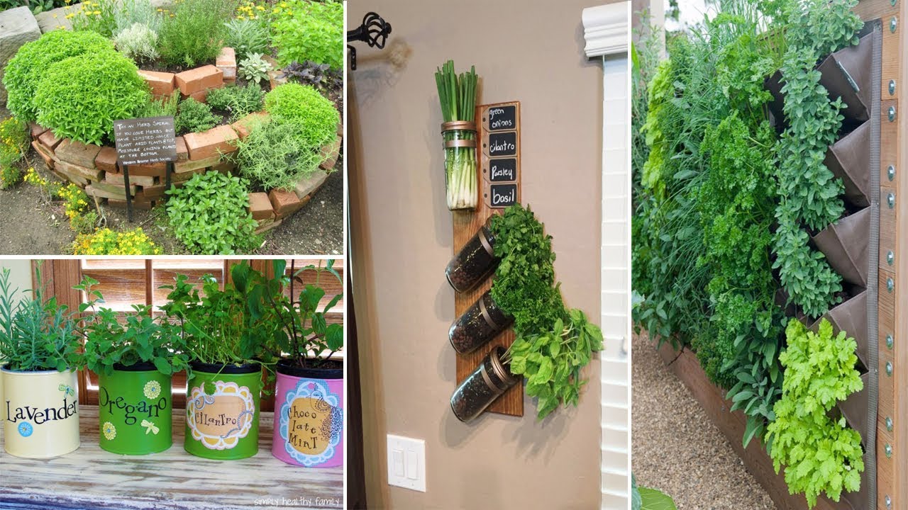 100 Herb Garden Ideas To Spice Up Your Life | DIY Garden