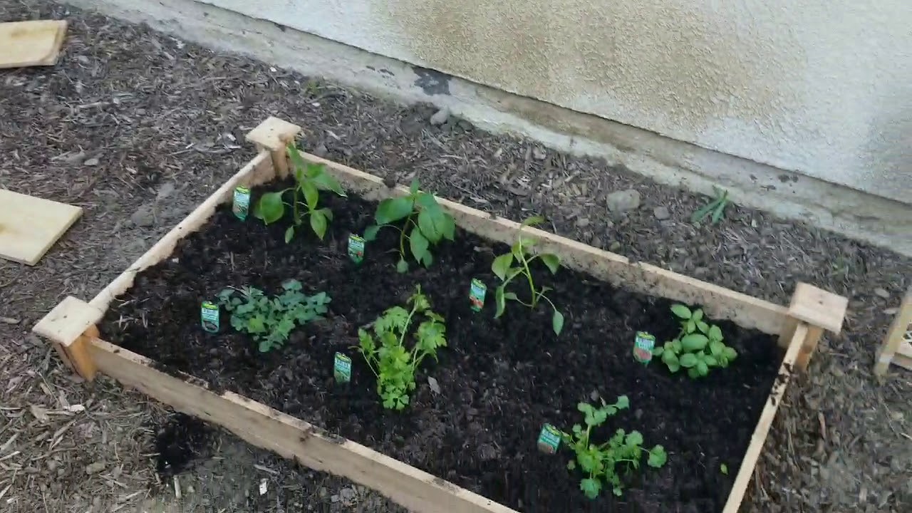 DIY GARDENING FOR BEGINNERS!! 5/4/19 How to start a garden. dig & plant Vegetables Fruits and Herbs