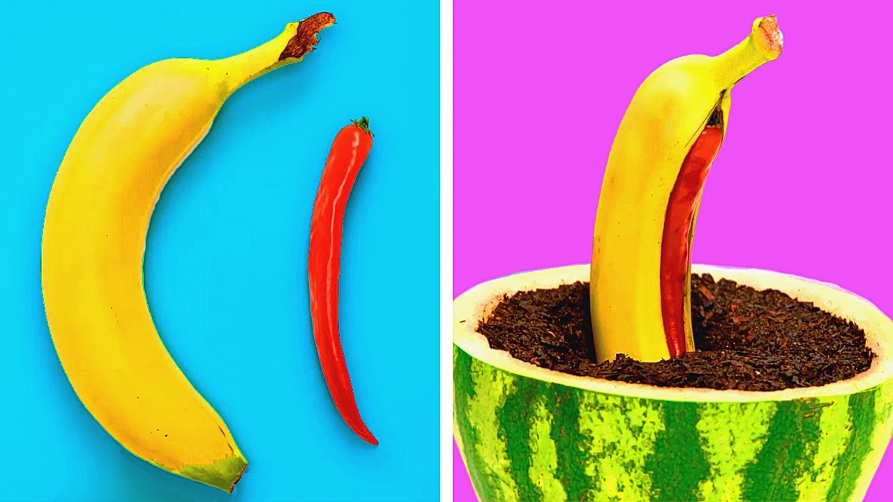 27 SMART HACKS FOR YOUR GARDEN