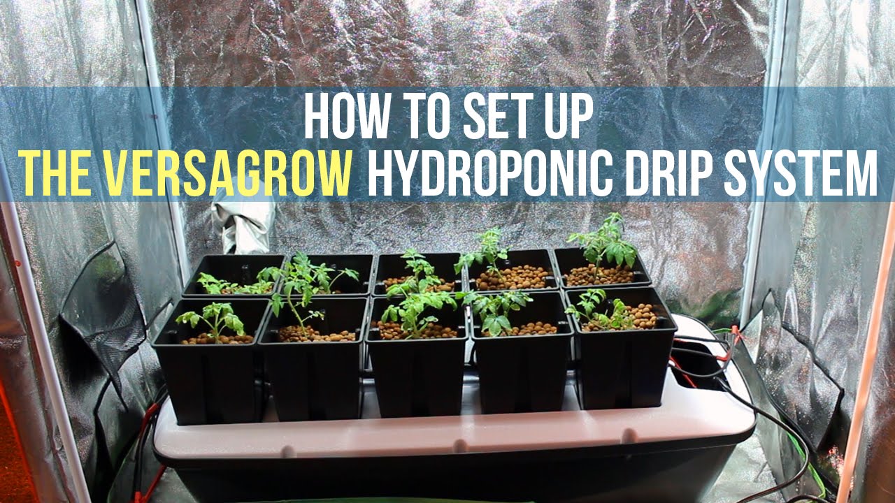 How to Set up a Hydroponic Drip System for Indoor Gardening | Versagrow | GrowAce.com