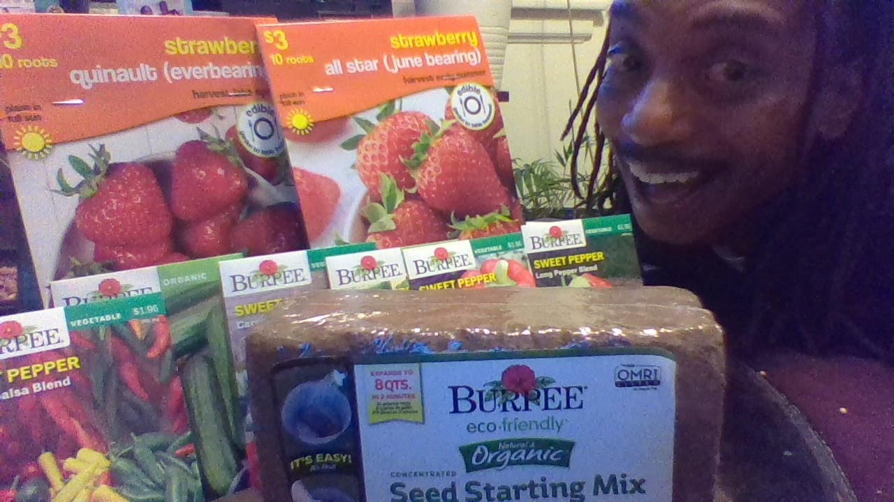START Seeds UPDATE  GARDENING FOR BEGINNERS  AND WHAT TO EXPECT! START YOUR GARDEN NOW UPDATE