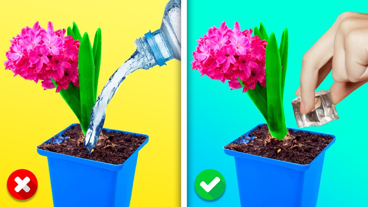 24 AWESOME GARDENING TRICKS YOU WISH YOU KNEW BEFORE
