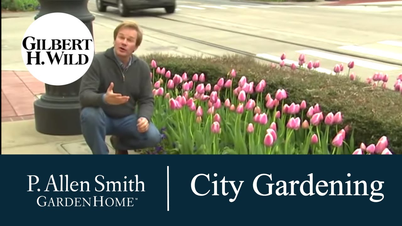Urban Gardening Tips | Garden Home (1106)