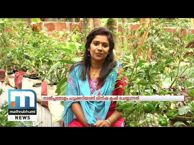 Linishas Kitchen Garden With 40 Varieties Of Vegetables | Mathrubhumi News