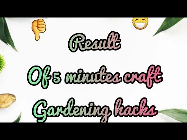 Result of 5 minute craft gardening hacks !!