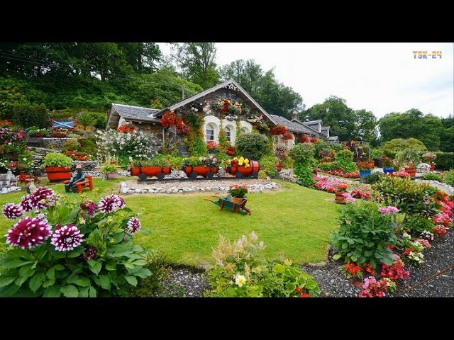 Home & Garden  Amazing Landscaping Design Ideas