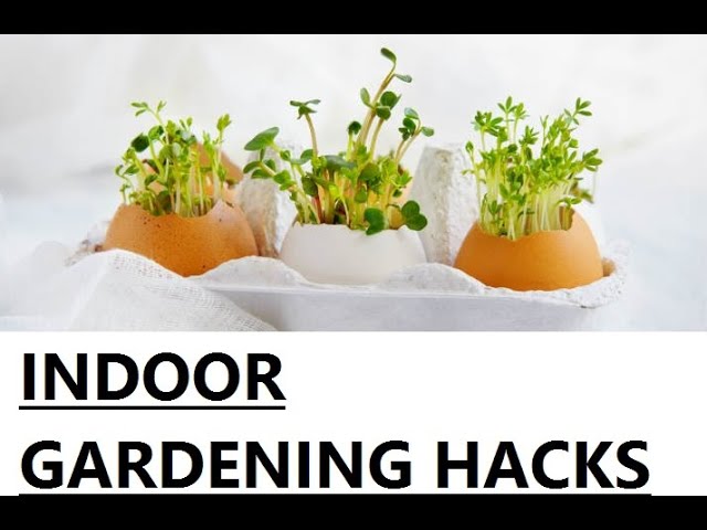 INDOOR GARDENING HACKS