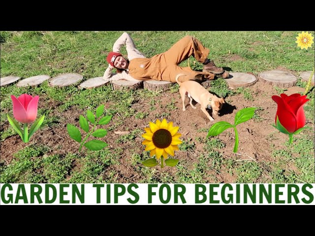 HOW TO GARDEN FOR BEGINNERS | MY BEST TIPS FOR STARTING A GARDEN