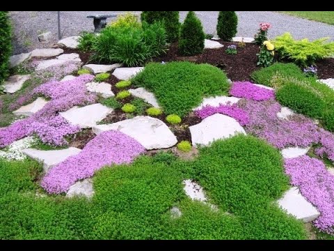 Beautiful flower garden design ideas